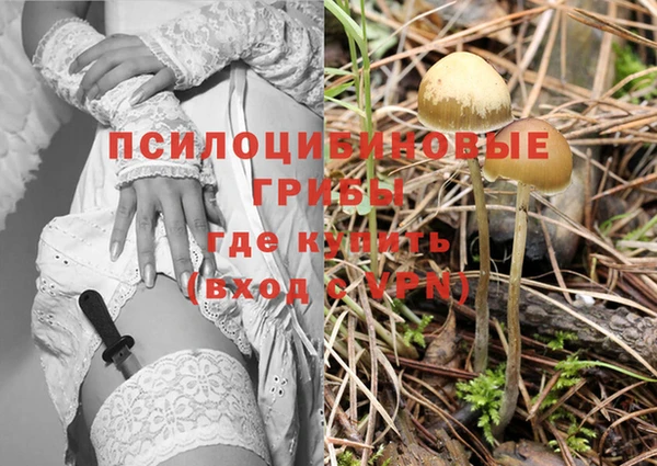 стафф Костерёво