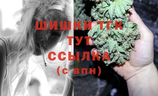 прущая мука Корсаков