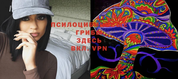 прущая мука Корсаков