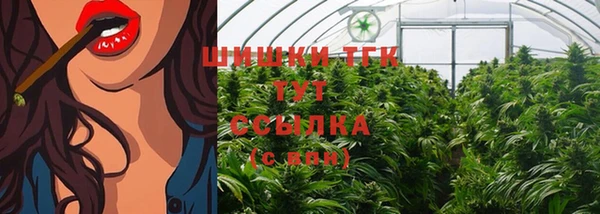ALPHA PVP Коряжма